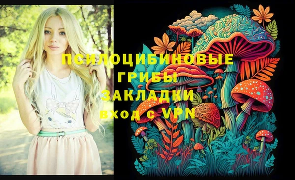 первитин Богородск