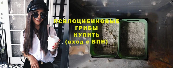 mix Богородицк